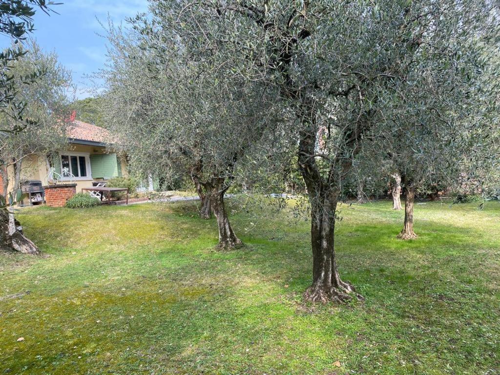 Villa Sweet Flower - With Private Pool And Garden Manerba del Garda Exteriör bild