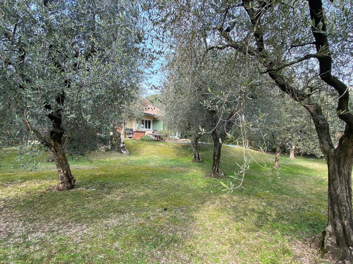Villa Sweet Flower - With Private Pool And Garden Manerba del Garda Exteriör bild